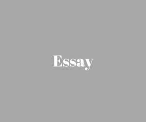 essay yazma desteği